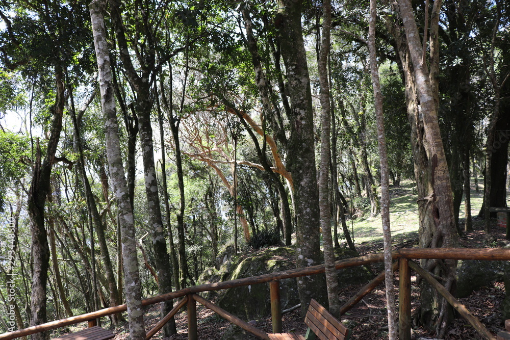Panoramic view of the Ninho das Águias (Eagle's Nest), located in the northwest of the municipality of Nova Petrópolis. It is one of the best hang gliding locations in the state of Rio Grande do Sul. Panoramic view of the Ninho das Águias (Eagle's Nest), located in the northwest of the municipality of Nova Petrópolis. It is one of the best hang gliding locations in the state of Rio Grande do Sul.