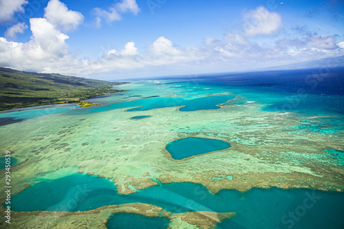 reef