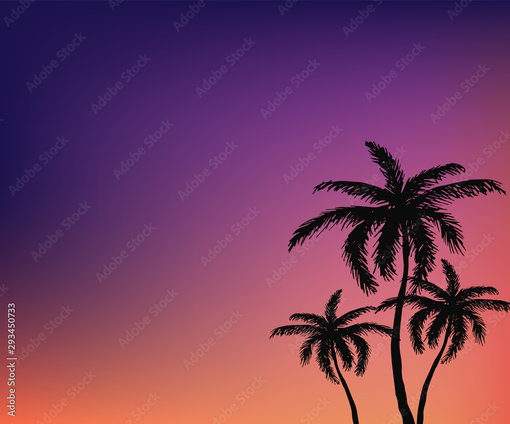 Hand drawn isolated palm tree
