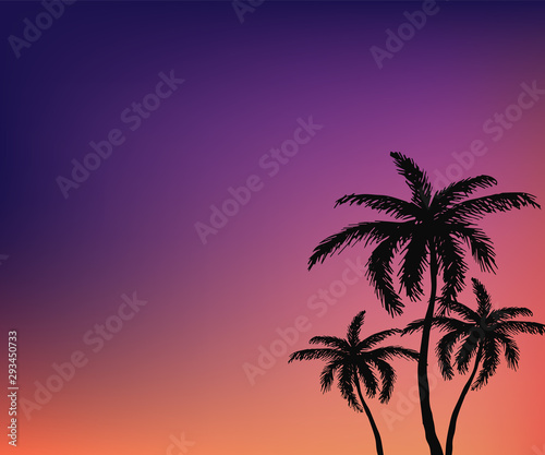 Hand drawn isolated palm tree © Olha
