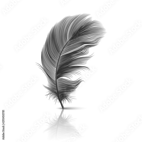 Vector 3d Realistic Falling Black Fluffy Twirled Feather with Reflection Closeup Isolated on White Background. Design Template, Clipart of Angel or Detailed Bird Quill, Nib