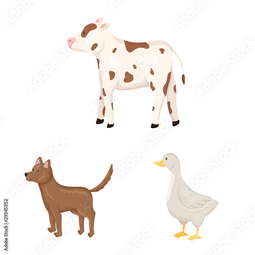 Isolated object of farm and food icon. Set of farm and countryside stock symbol for web.