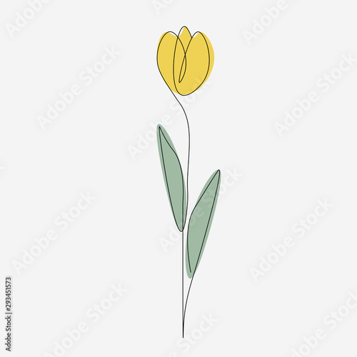 Yellow flower tulip one line draw, vector illustration