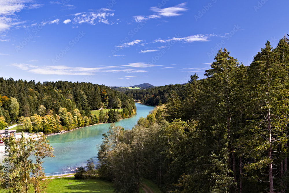 lake in the forest