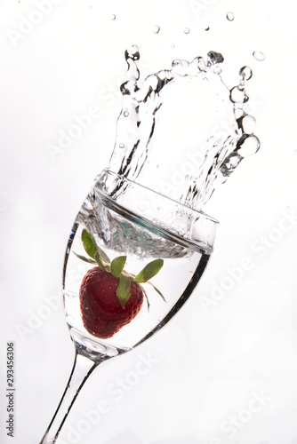 Splash