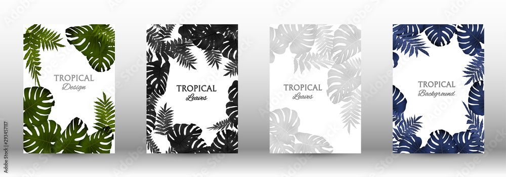 A set of tropic