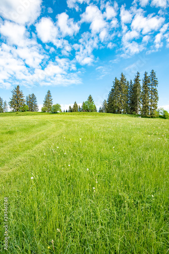 Bergwiese mit Fahrspuren in Bayern