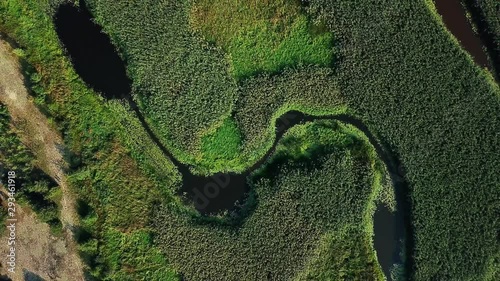 aerial view of floodplain of the Pripyat River, aerial view of winding riverst, aerial view of wetlands, aerial view of marsh photo