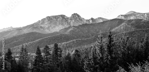 Tatra Mountains in black and white - rocky summit of Giewont