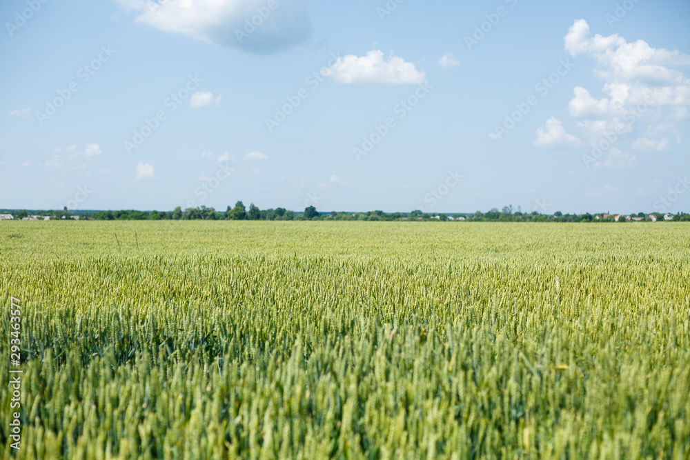 Beautiful nature on a bright sunny day Beautiful nature on a bright sunny day