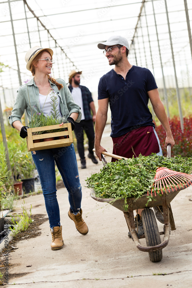 Smiling man and woman transporting plants with a wheelbarrow and wooden ...