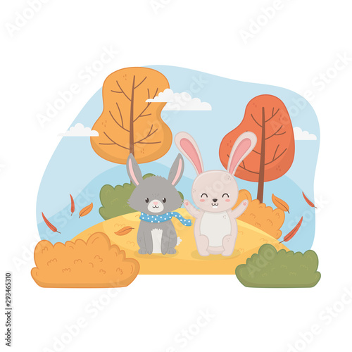 Fototapeta Naklejka Na Ścianę i Meble -  cute animal foliage hello autumn
