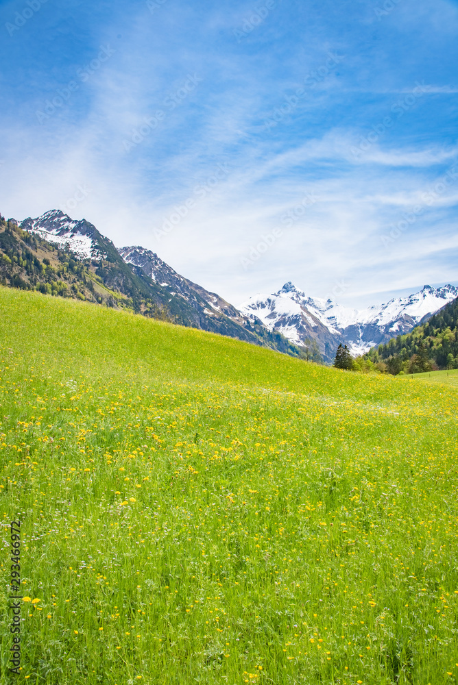 Blühende Bergwiesen im Tal umgeben von massiven Gebirge