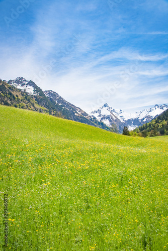 Blühende Bergwiesen im Tal umgeben von massiven Gebirge