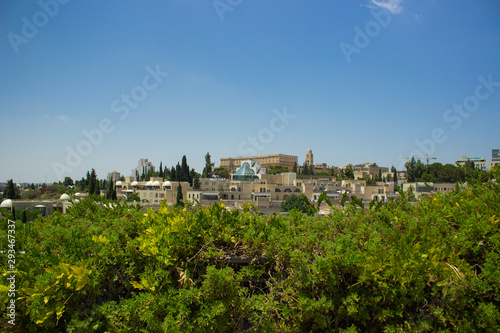 Jerusalem city garden green foliage foreground and building background Middle East urban view