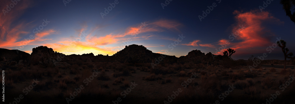 Naklejka premium Panorama at Joshua tree