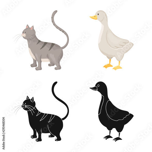 Vector design of breeding and kitchen icon. Set of breeding and organic stock symbol for web.