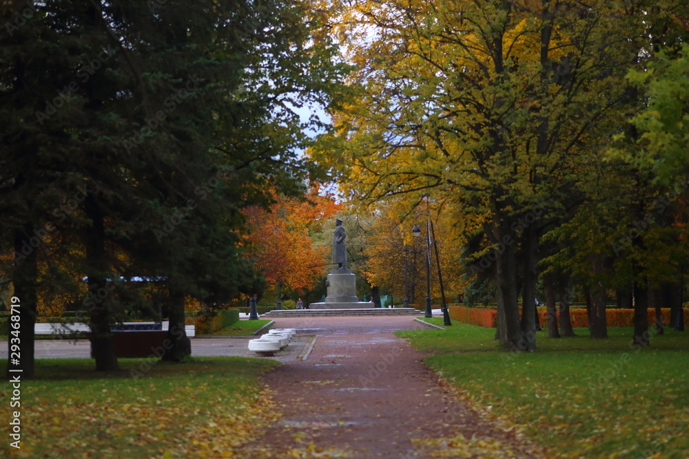Naklejka premium autumn in the park