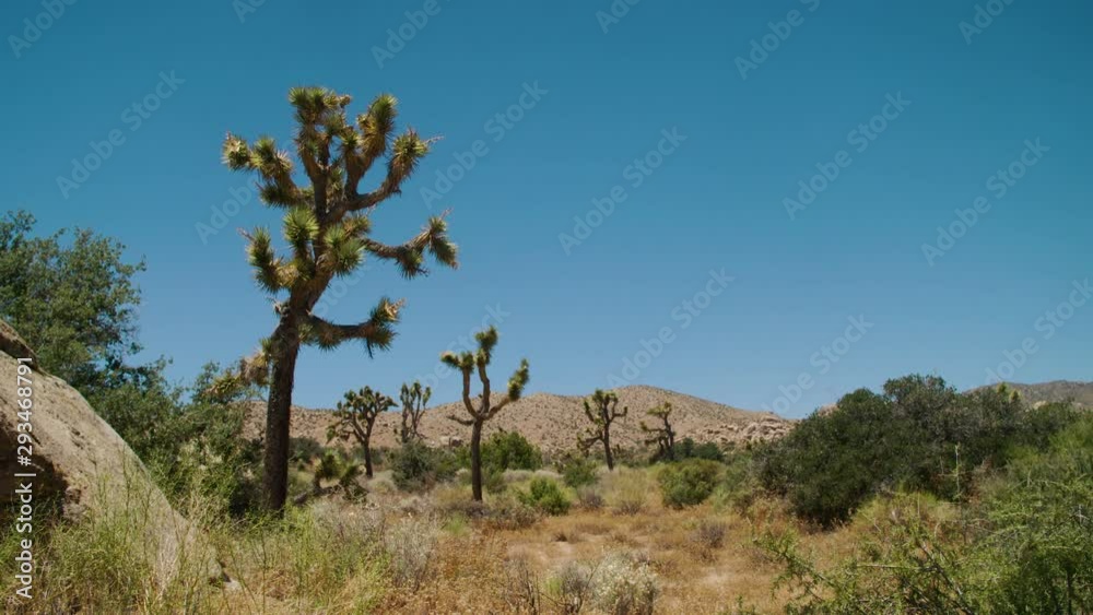 Tilt down on arid desert & mountain foliage in the region above Yucca Valley Tilt down on arid desert & mountain foliage in the region above Yucca Valley
