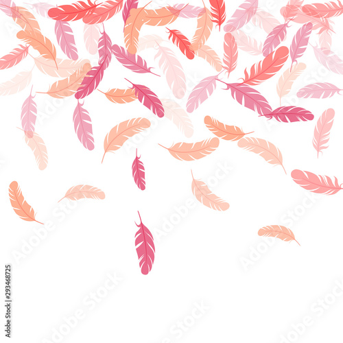Falling feather elements soft vector design.