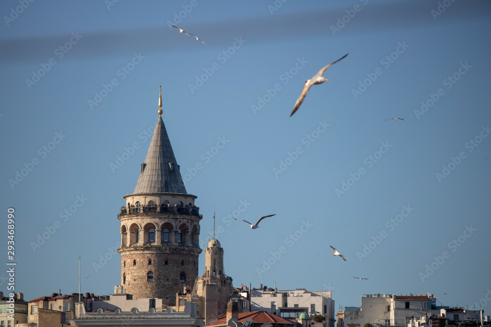 Obraz premium Close shot of Galata tower. Flying seagulls and blue sky.