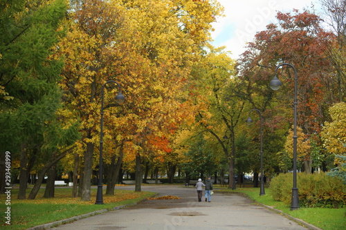 autumn in the park