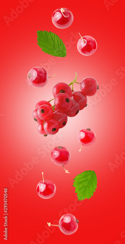 Flying fresh red currant with green leaves on pink background.