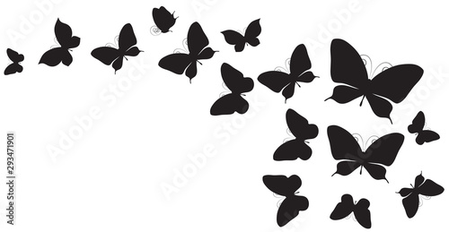 butterfly328