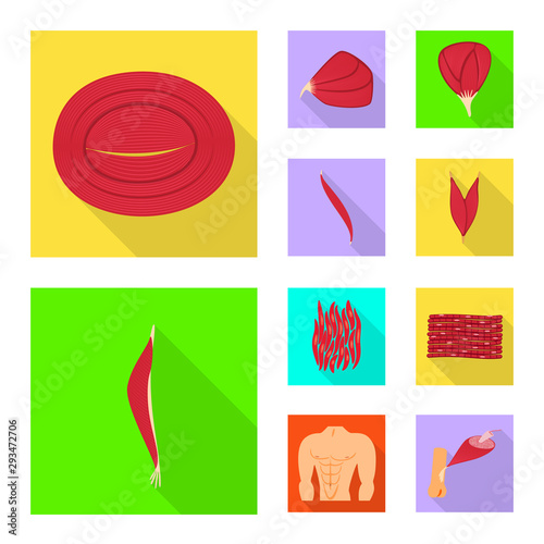 Isolated object of muscle and cells logo. Set of muscle and anatomy stock symbol for web.