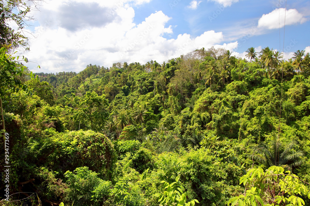 Extensive Indonesian jungle viewed from the Campuhan Ridge Walk, the best known Ubud trek because of the amazing rice paddies nearby, Ubud, Bali.