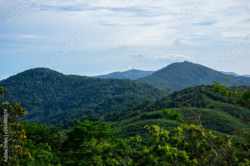 landscape with mountains and trees