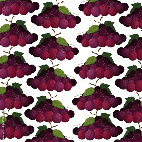 Isolated grapes background vector design