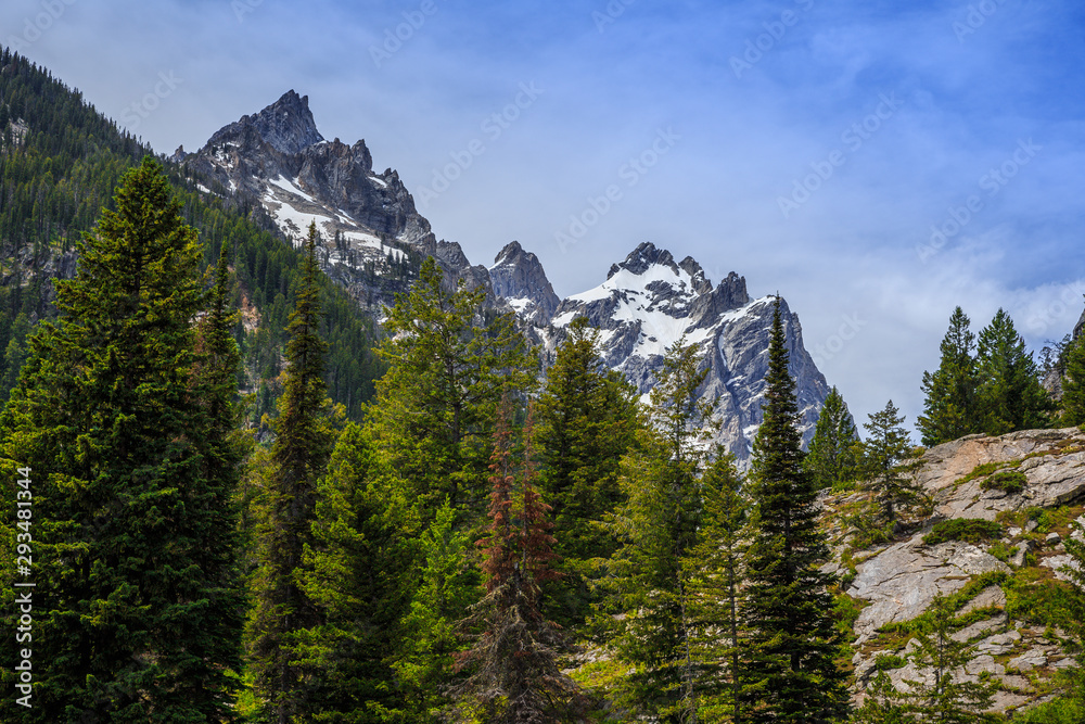 Jenny Lake Grand Teton Views