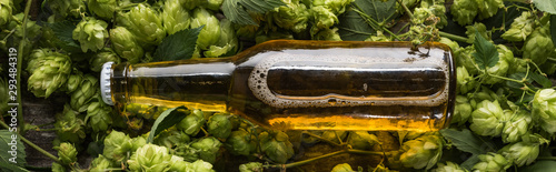 top view of beer in bottle on green hop on wooden background, panoramic shot photo