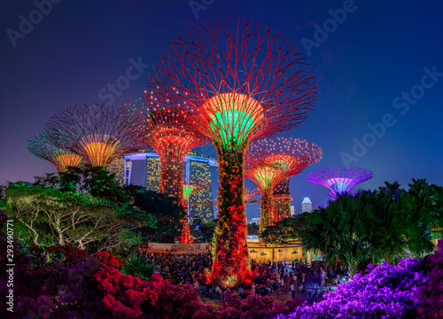 Garden Rhapsody, colorful light show at the Supertree Grove Gardens by the Bay in Singapore, popular tourist attraction