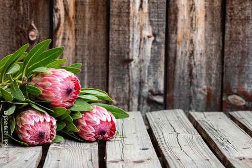 Three protea flower stalks on a rustic wooden table with space for copy