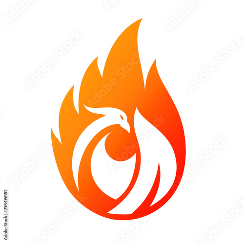 Charming Phoenix Illustration for Icon or Logo concept