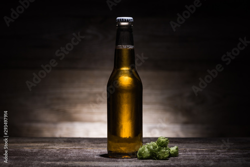 beer in bottle with hop on wooden table in darkness with back light