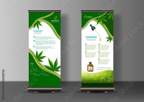 Marijuana plant and cannabis oil bottles vector.