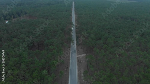 Aerial view of a road splitting a beautiful pine wood forest. photo