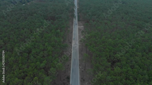 Aerial view of a road splitting a beautiful pine wood forest. photo