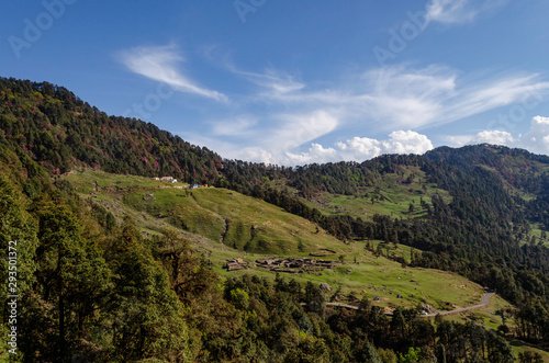 Lush green high altitude medows near Chopta,Uttarakhand,India