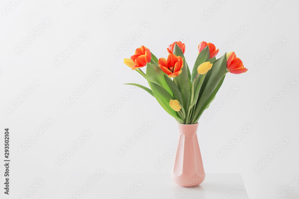 tulips in vase on white background
