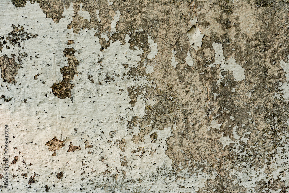 Texture of a concrete wall with cracks and scratches which can be used as a background Texture of a concrete wall with cracks and scratches which can be used as a background
