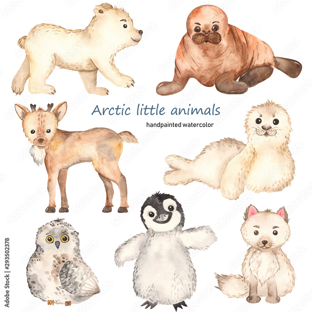 Obraz Akwarela arktyczne małe słodkie zwierzęta. Lis polarny, niedźwiedź polarny, mors, renifer, foka, sowa, pingwin