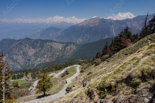 Road to Tungnath Peak near  Chopta,Uttarakhand,India © amit