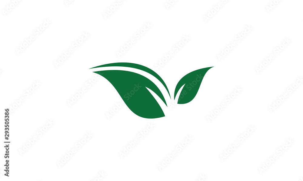 green leaf icon green leaf icon