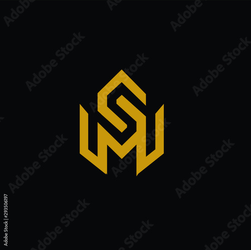 flat letter sm logo vector download