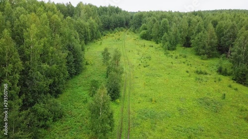 Impassible Muddy Road in Green Coniferous Forest photo