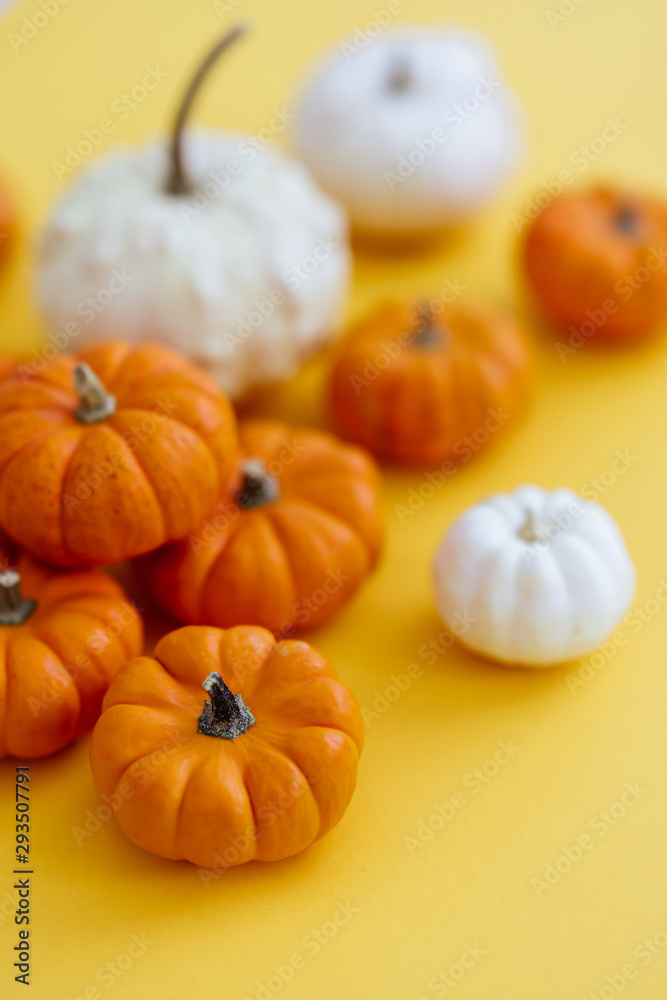 Halloweeen theme with a pumpkins on a yellow background Halloweeen theme with a pumpkins on a yellow background